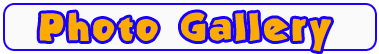 Page Banner